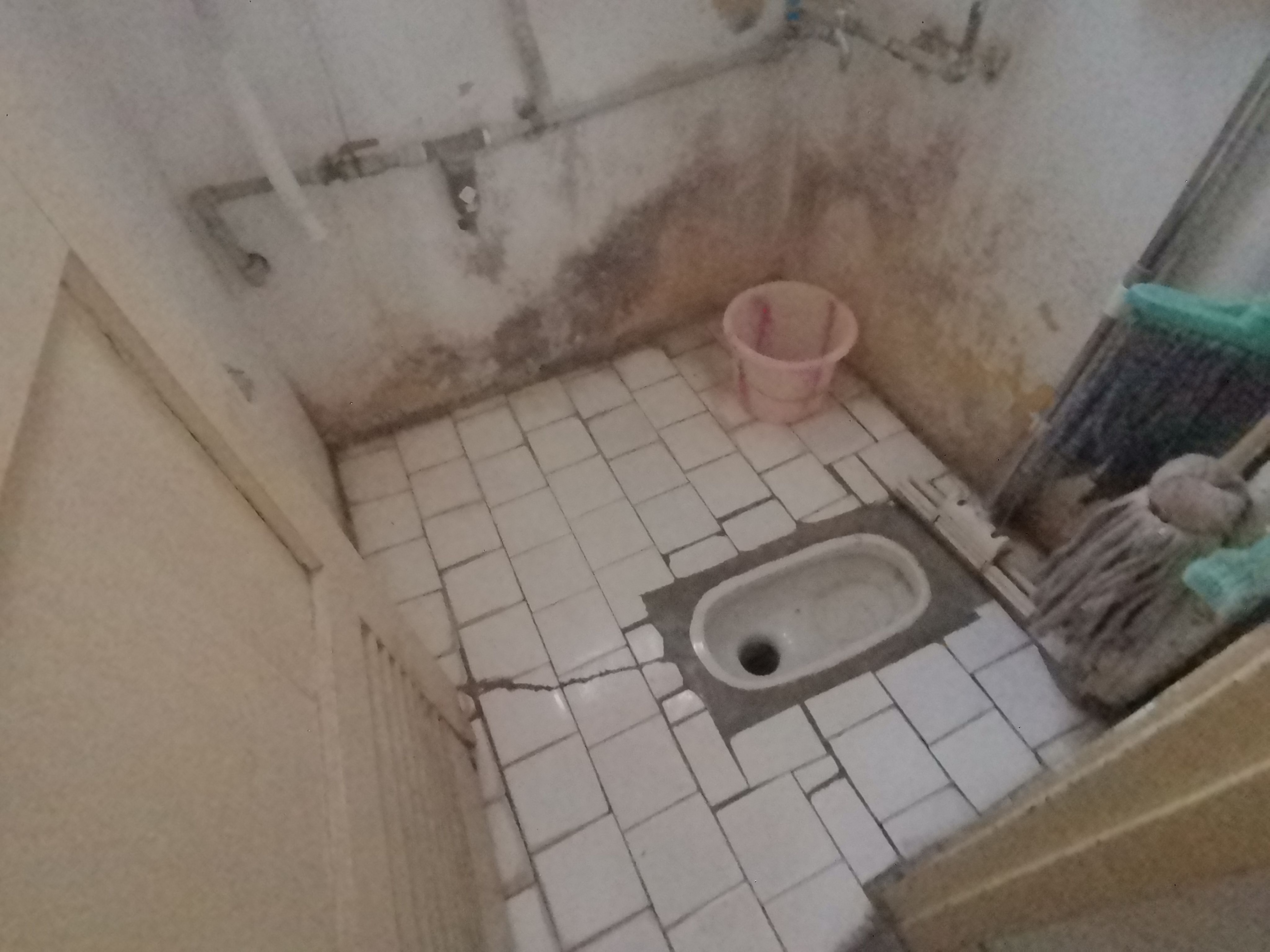 绵阳756家属区，2室1厅1卫，54㎡，普装，租金700元/月 绵阳租房