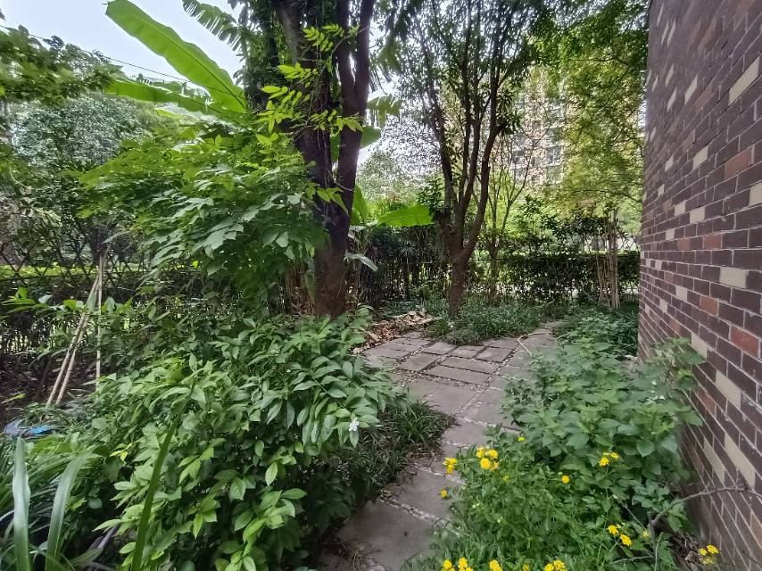 绵阳树高卡地亚B区，3室2厅2卫，108.00㎡，精装，售价105万 绵阳二手房