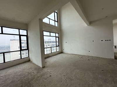富临桃花岛，5室2厅2卫，300.00㎡，售价300.00万