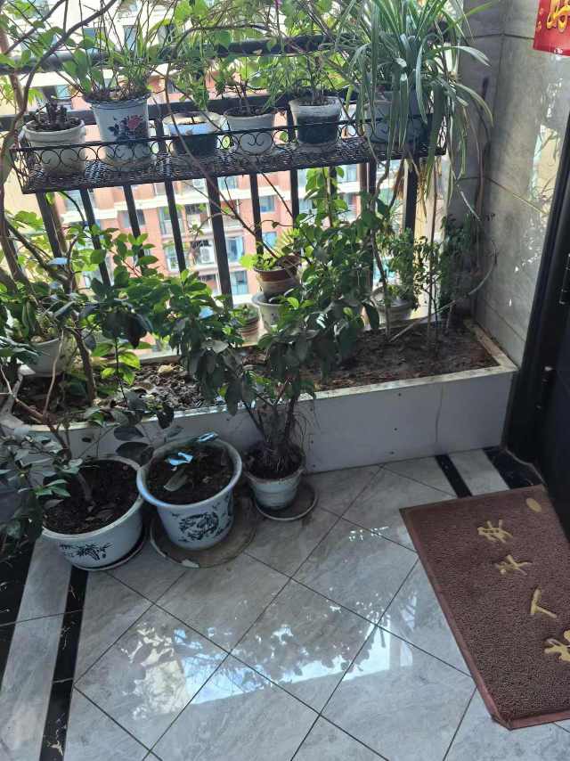绵阳典汇国际，4室2厅2卫，129.62㎡，售价92万 绵阳二手房