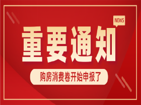 领钱了！购房消费券开始申报了~