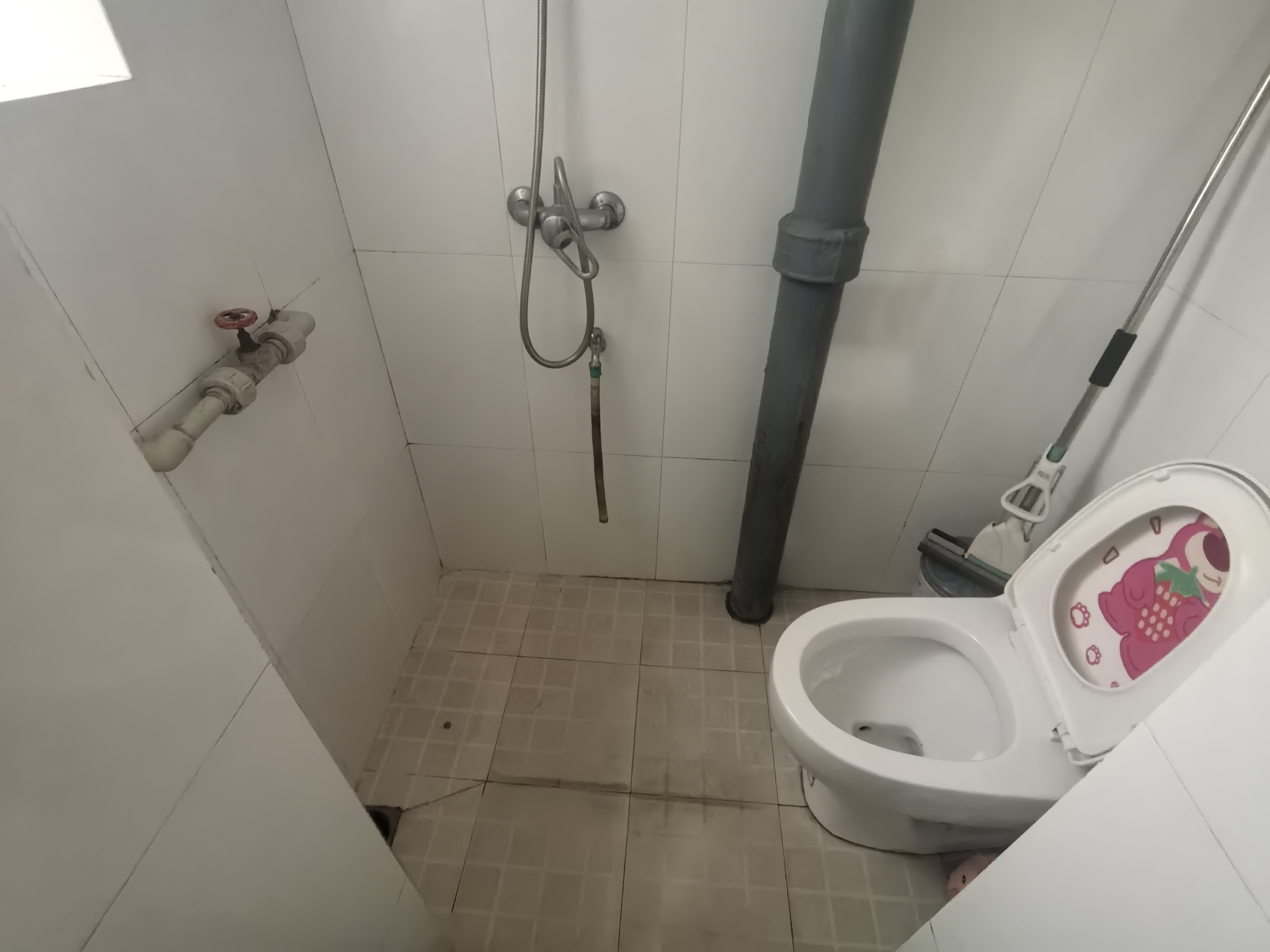 绵阳银峰小区，2室1厅2卫，63.5㎡，普装，租金600元/月 绵阳租房