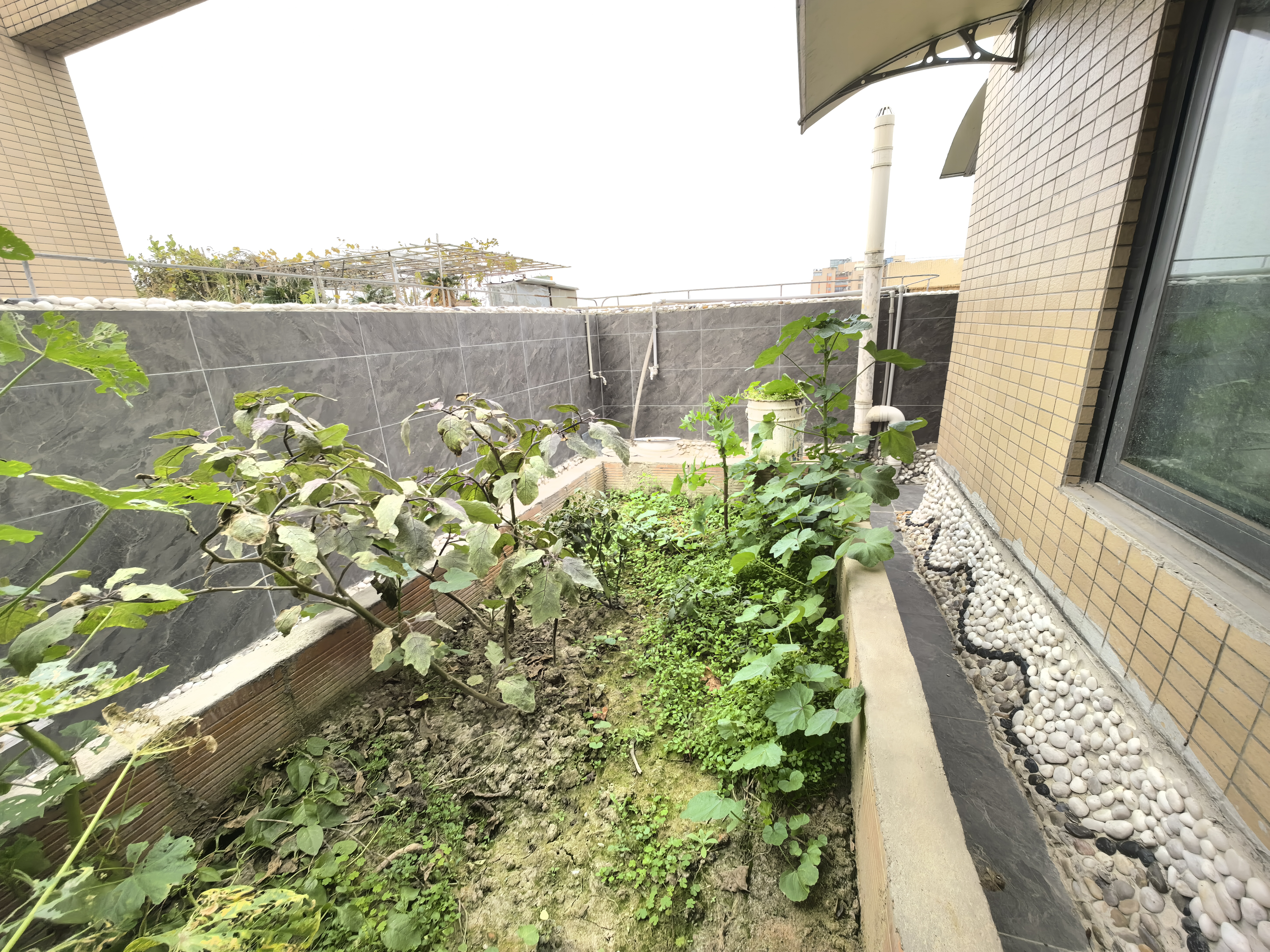 绵阳3露台花园3连跃全新精装 5房核心地段 万达公园  绵阳二手房