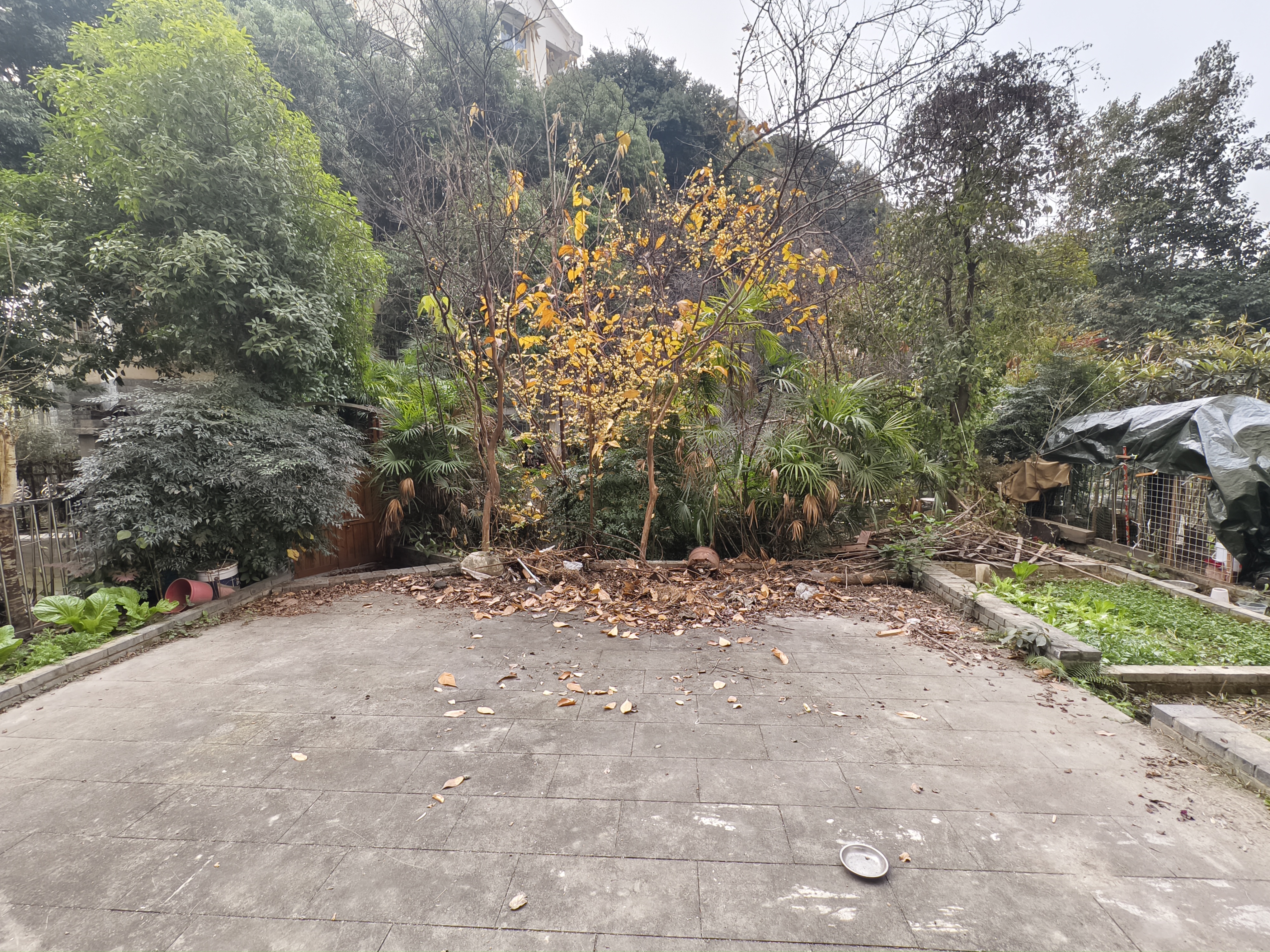 绵阳万达旁，类别墅住宅，前后花园，四房三卫，使用面积近200平 绵阳二手房
