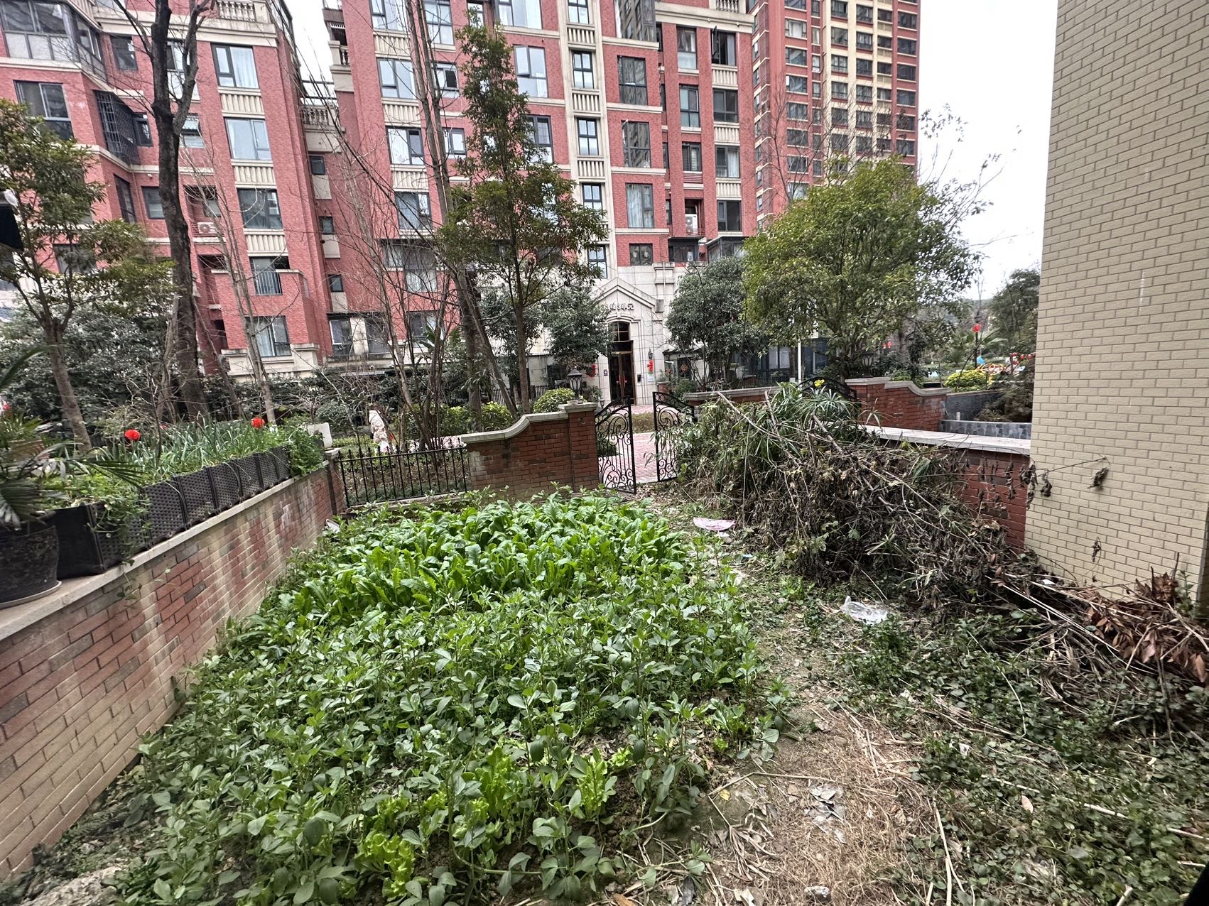 绵阳 绵阳二手房