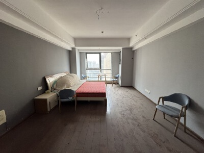万达SOHO，1室1厅1卫，58.00㎡，简装，租金1000.00元/月