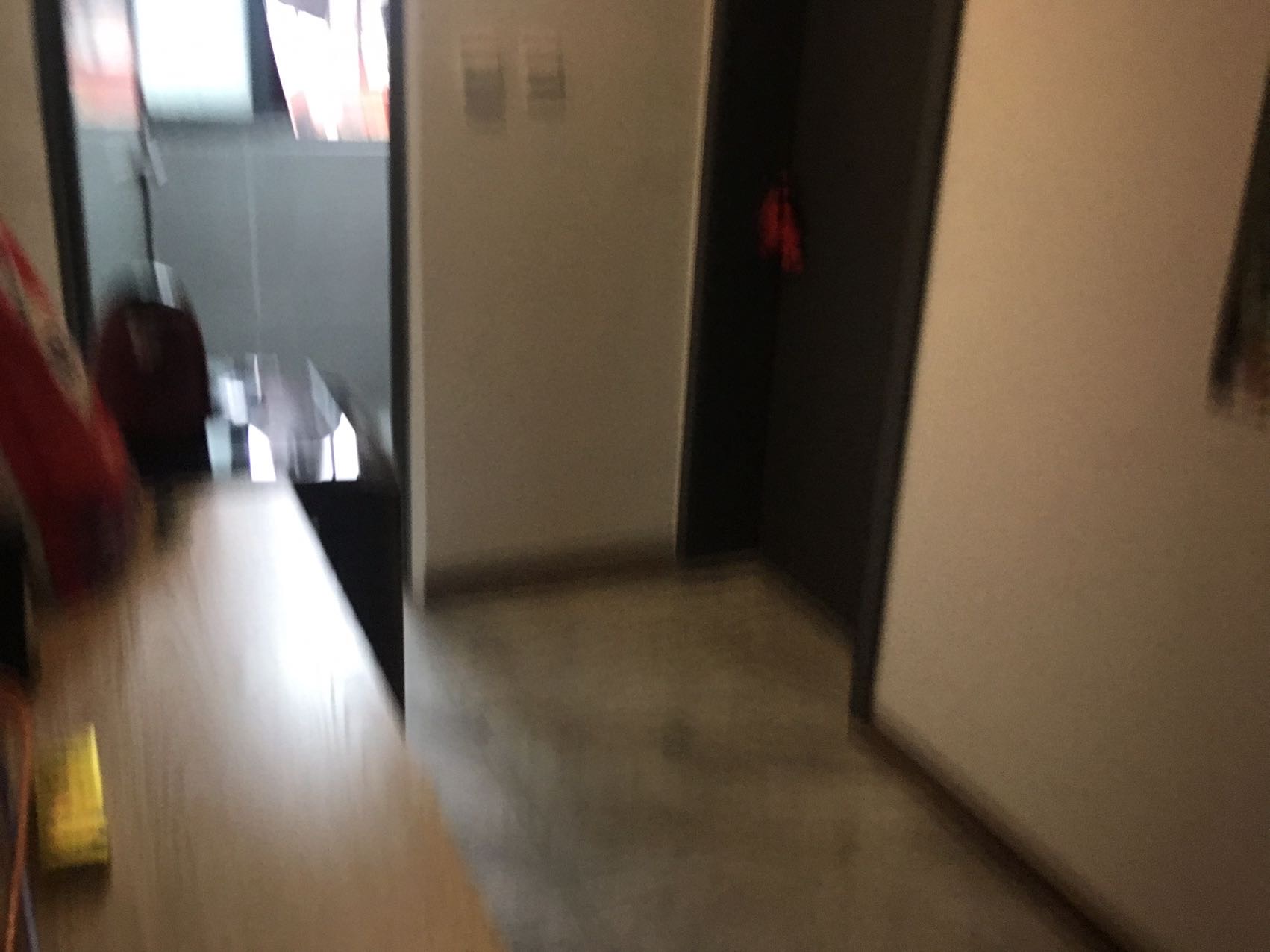 绵阳松垭镇正兴商业街，1室1厅1卫，54.5㎡，售价64.8万 绵阳二手房