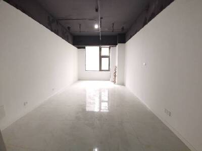 万达SOHO，1室1厅1卫，53.00㎡，简装，租金800.00元/月