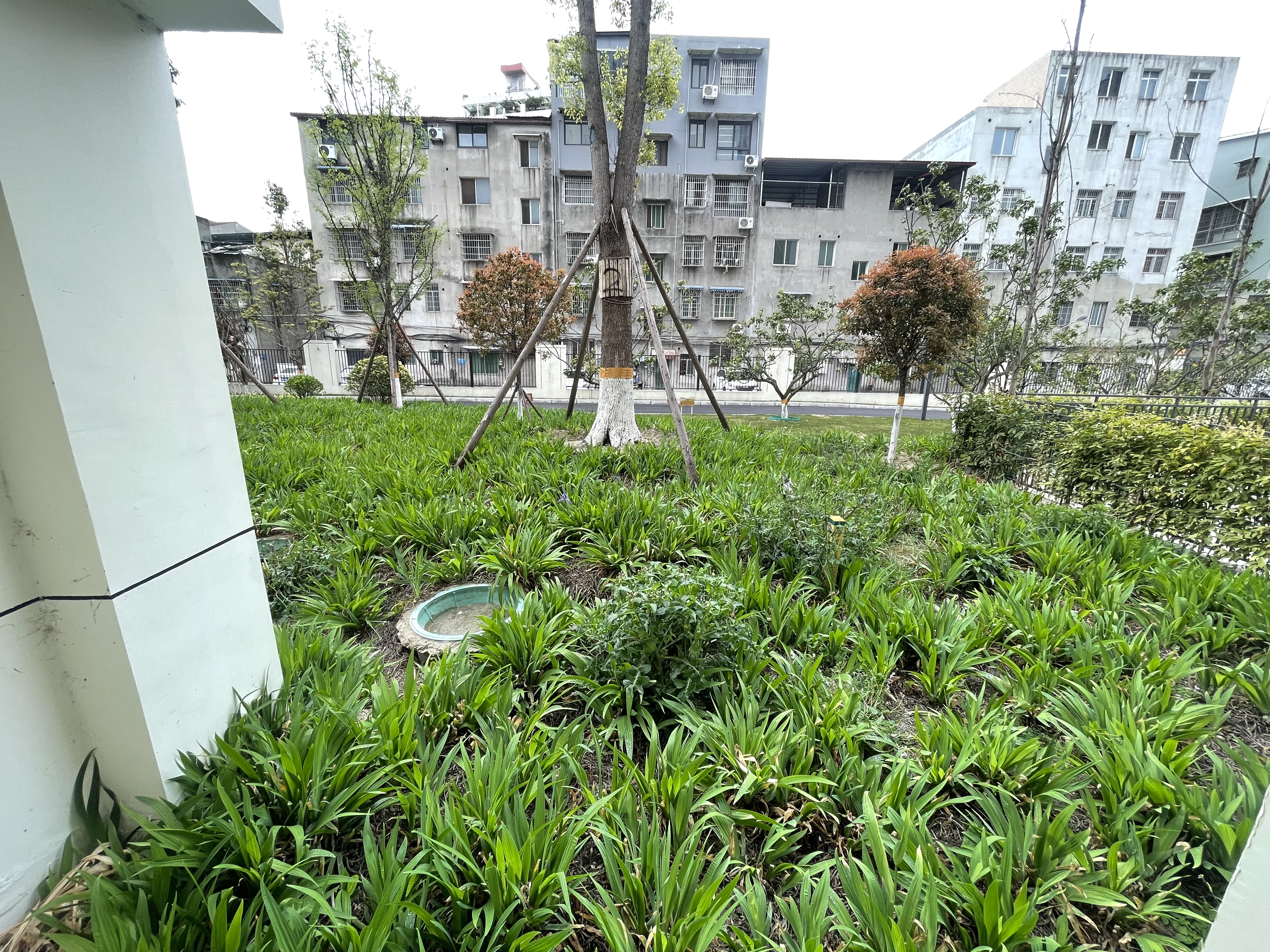 绵阳丽都花漾年，3室2厅2卫，99㎡，售价108万 绵阳二手房