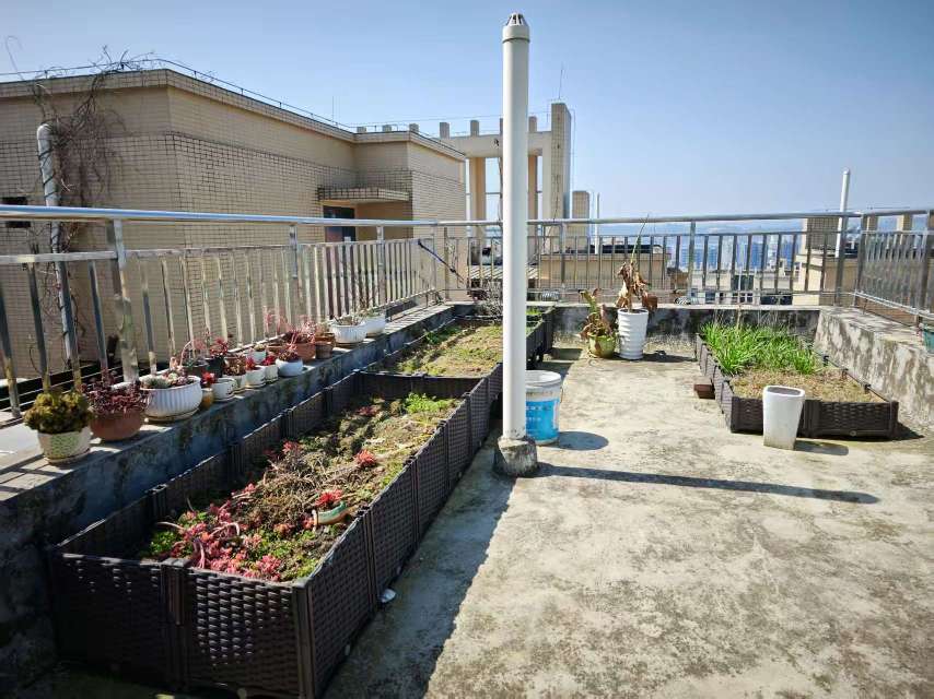 绵阳海珂花郡一期，4室2厅2卫，112㎡，租金20000元/年 绵阳租房