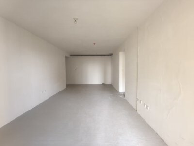 园艺山热度第一楼盘.朝南.清水大三房双卫.有车位.任意装修布局.