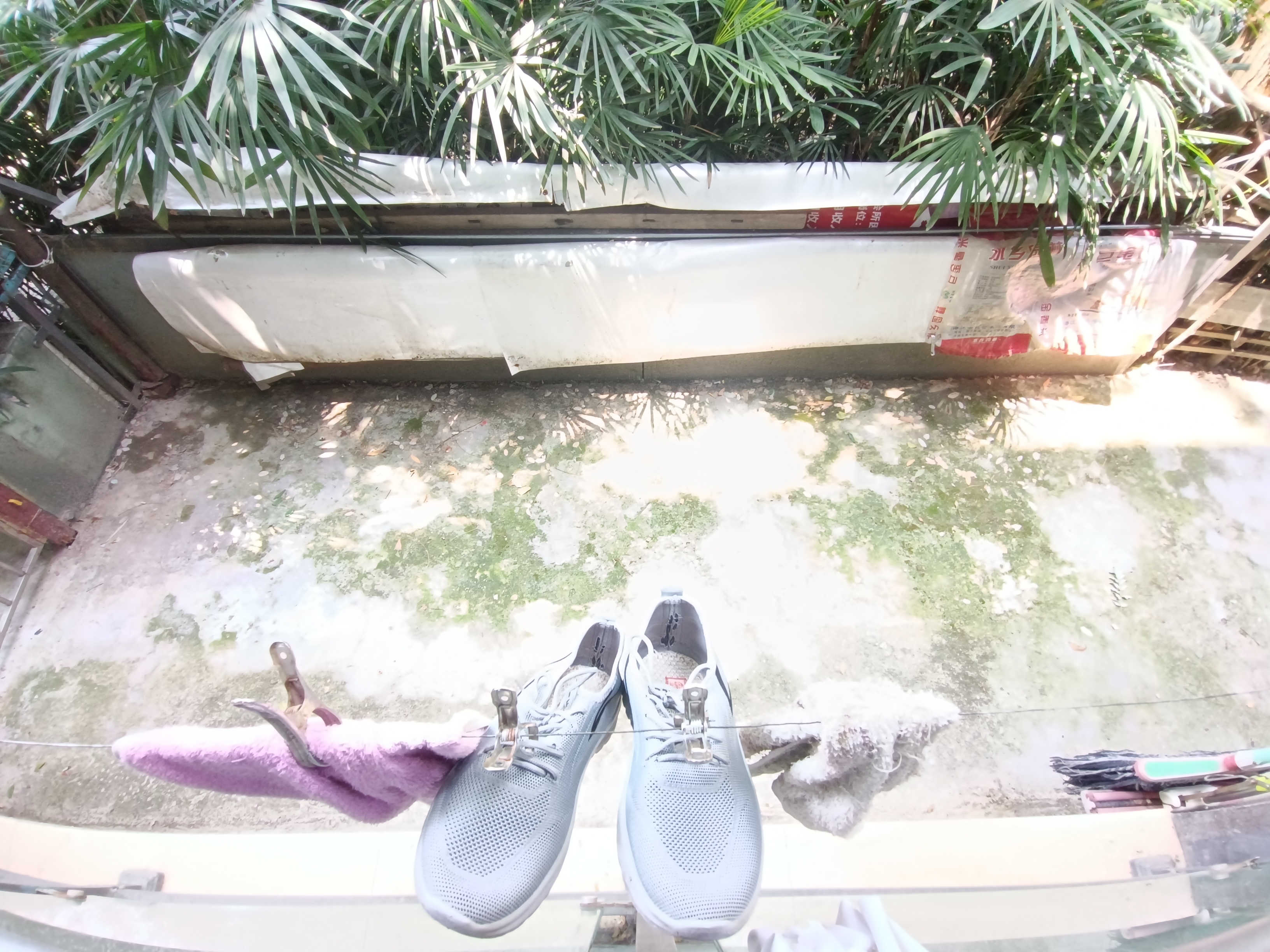 绵阳 绵阳二手房