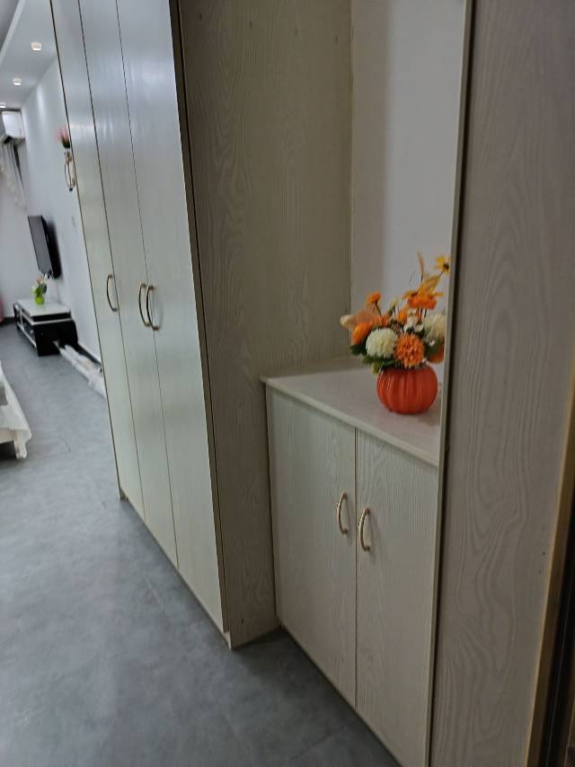 绵阳金三角大厦，1室1厅1卫，45㎡，精装，租金1750元/月 绵阳租房
