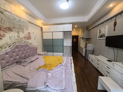 温馨单身公寓  家具家电全齐 拎包入住  实景