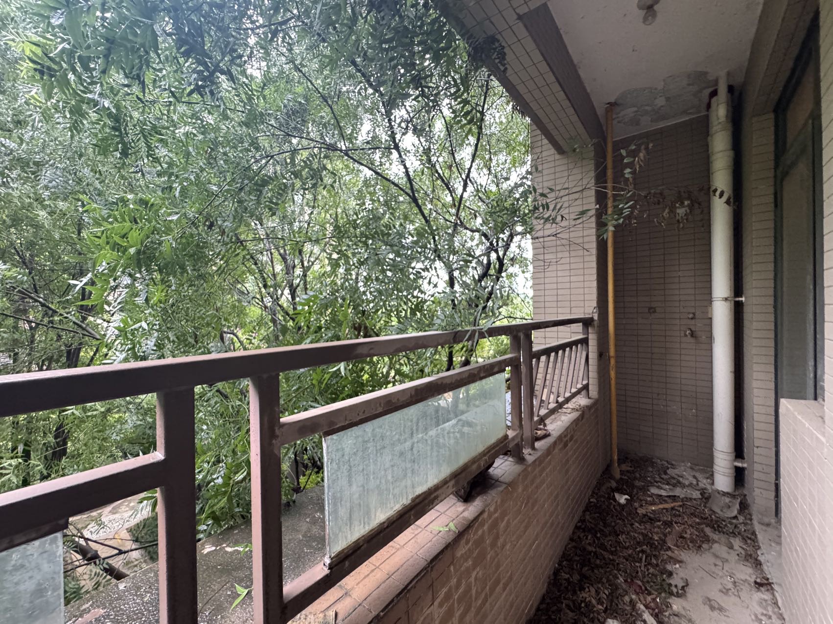 绵阳三江国际丽城阅世度，3室2厅2卫，110.50㎡，毛坯，售价93.00万 绵阳二手房