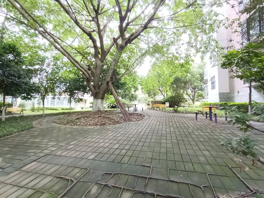 绵阳 绵阳二手房