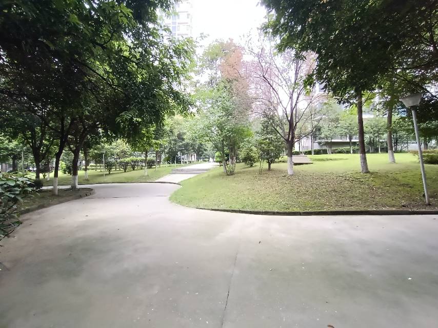 绵阳 绵阳二手房