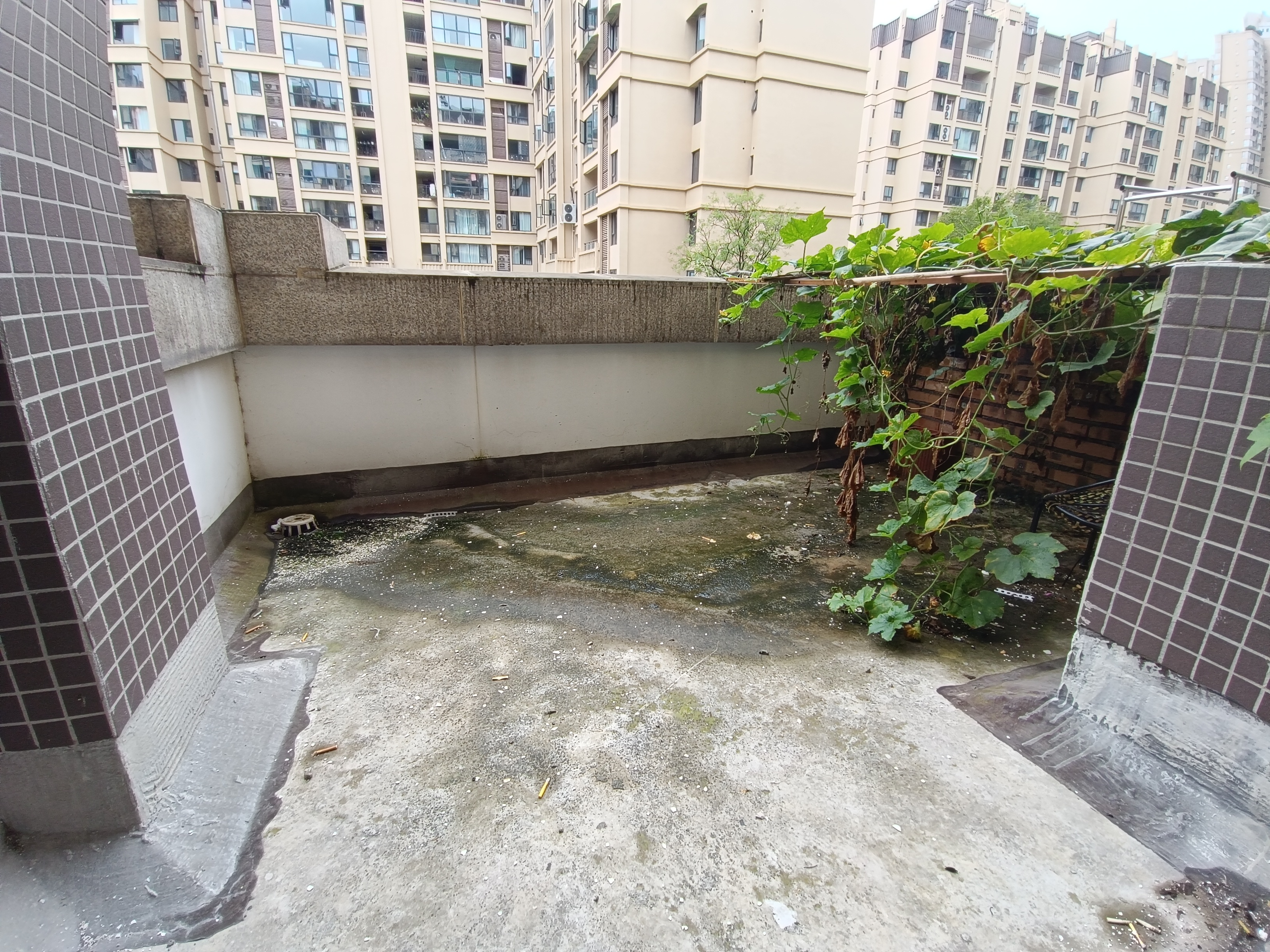 绵阳 绵阳二手房
